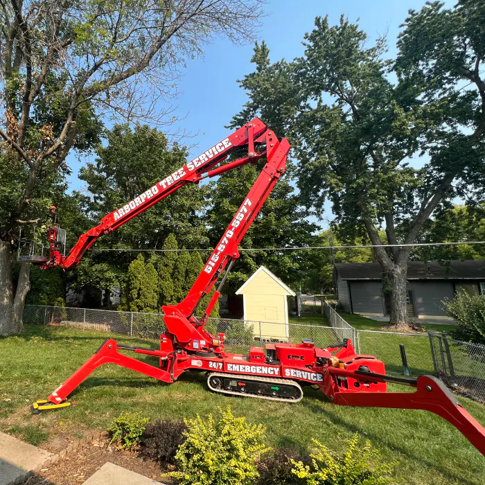 contractor on top of a tree removal machinery ankeny ia