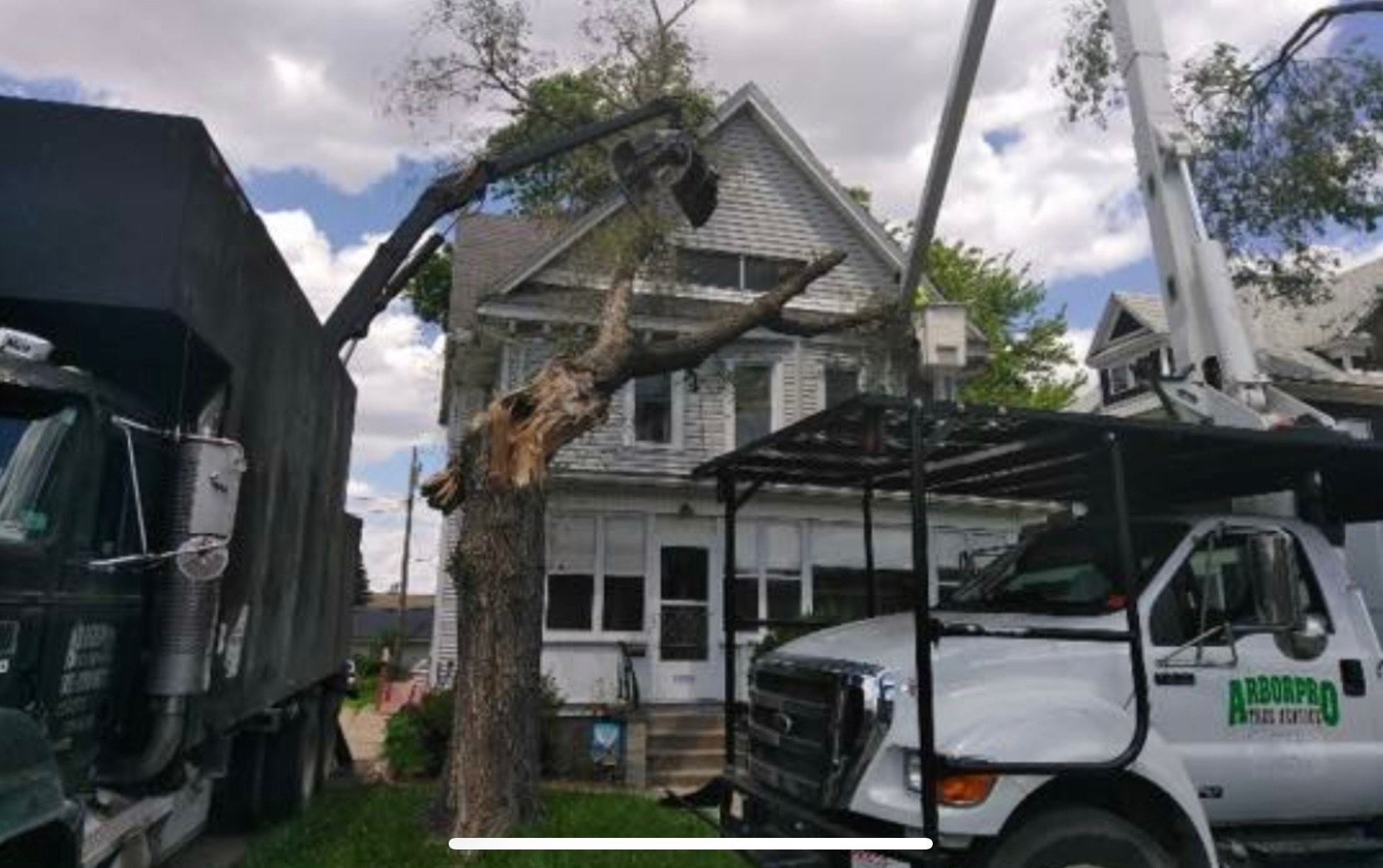 Storm Cleanup