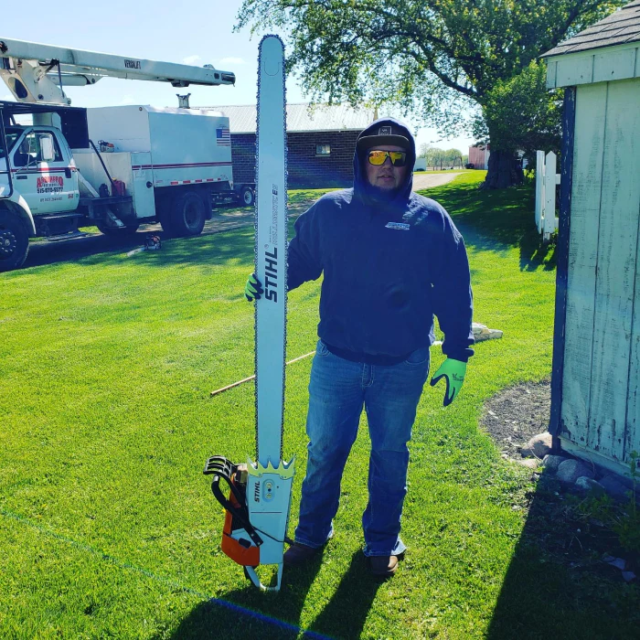 arborist with a chainsaw before tree removal ankeny ia
