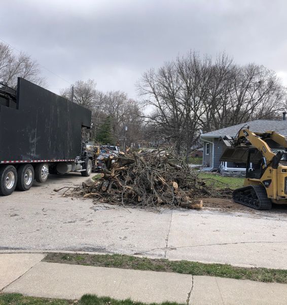 cut down tree logs and trunks 2 ankeny ia 1