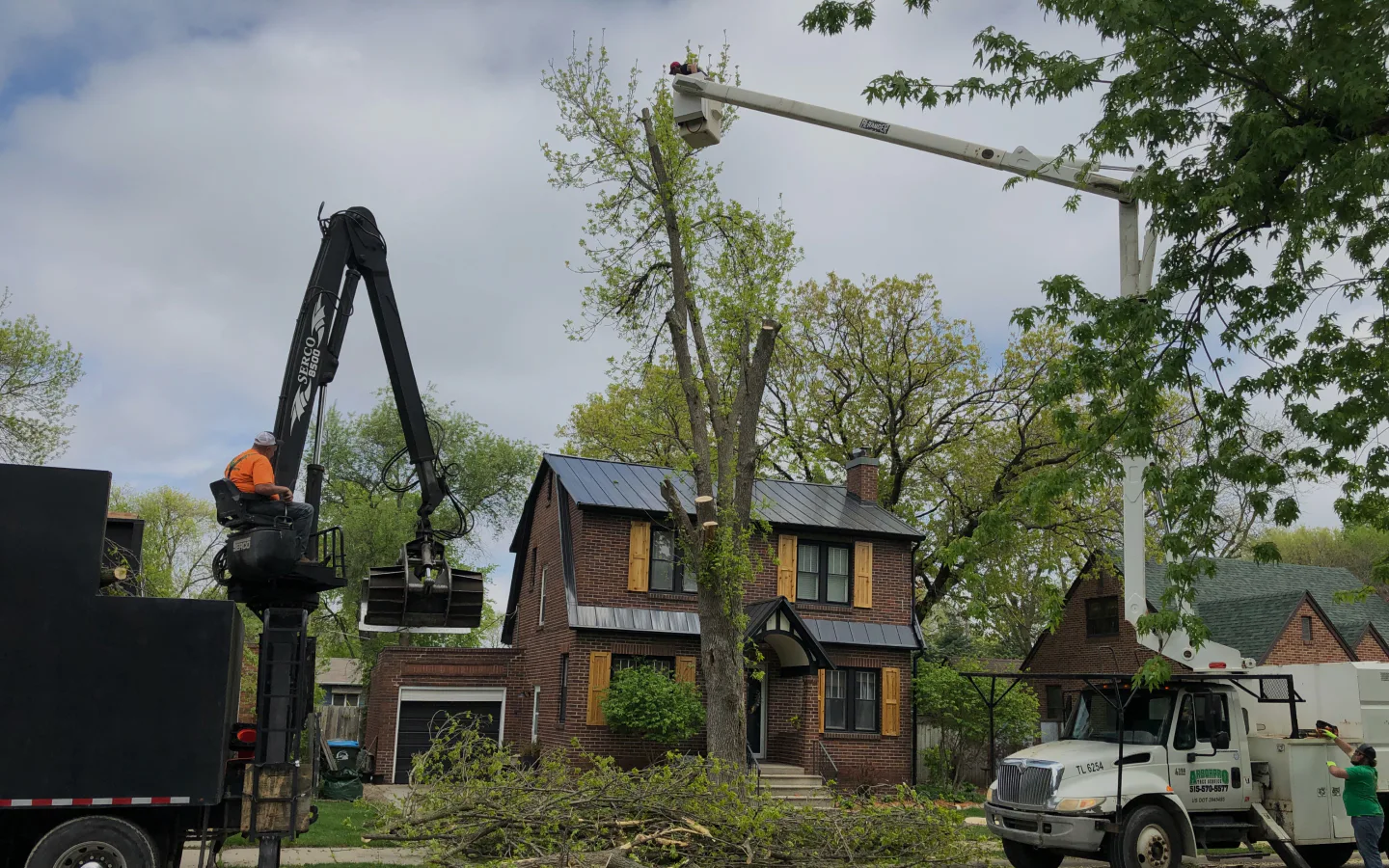 tree removal with machinery in a residential zone ankeny ia